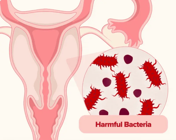 Cápsulas V-Probióticas Naturales