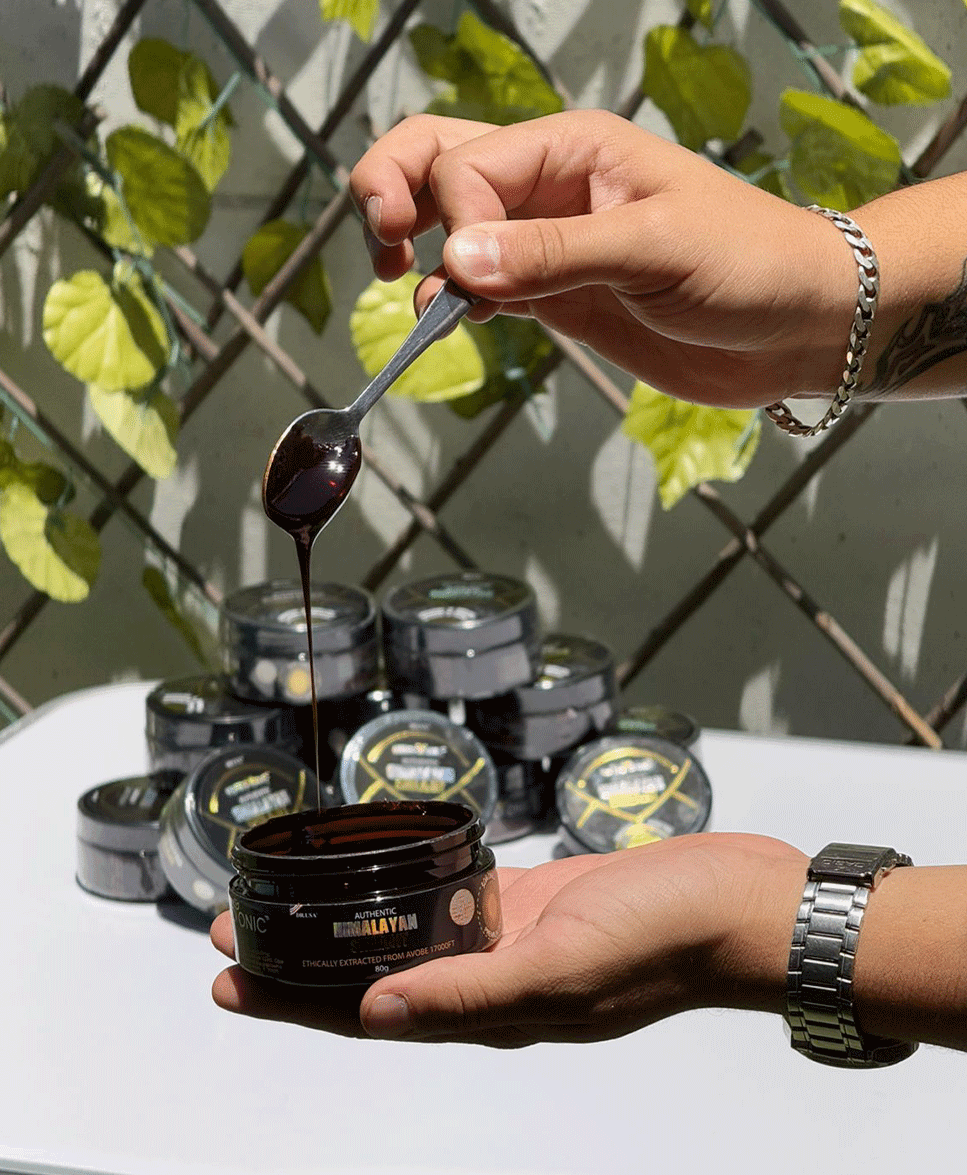 🌿 Shilajit Premium en Resina – Energía ancestral para tu día a día🌿 - Amya Chile