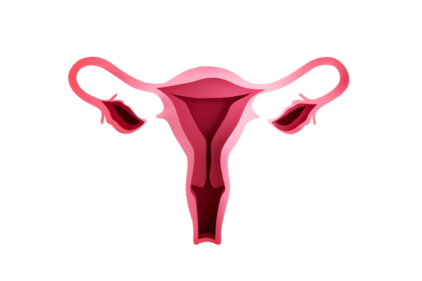 Cápsulas V-Probióticas Naturales