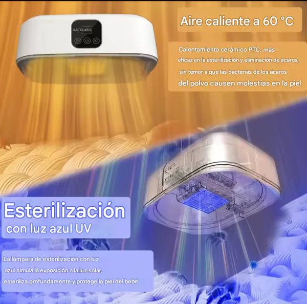 Secadora Portátil Rápida