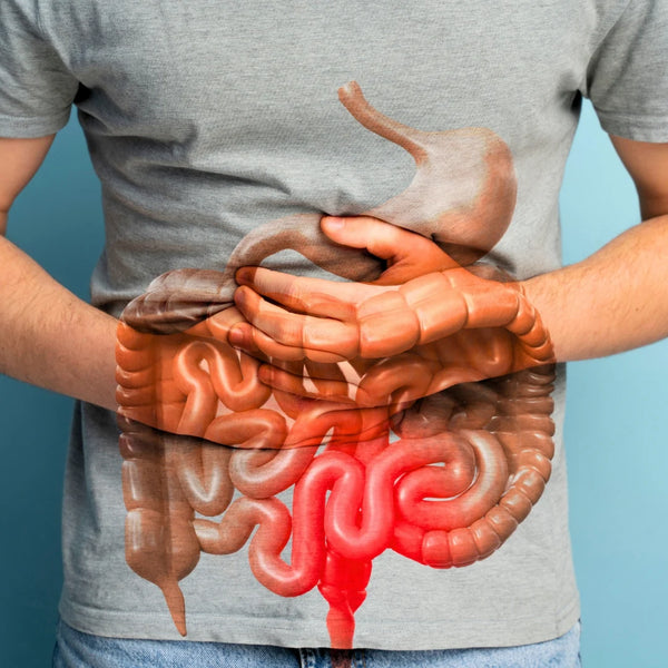 Limpieza Intestinal 15 Días